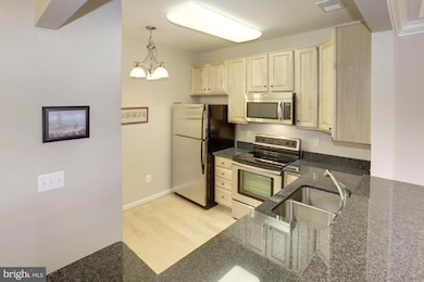 8611 Wintergreen Ct unit 301, Odenton, MD 21113 - photo 3