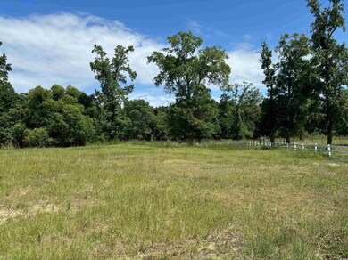 View of local wilderness