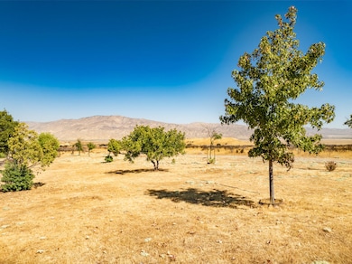 8300 Foothill Rd, New Cuyama, CA 90241 - photo 5