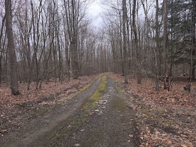 599 Ostrander Rd, Windsor, NY 13865 - photo 7