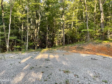 0 Thompson Tr unit 1209854, Winfield, TN 37892 - photo 2