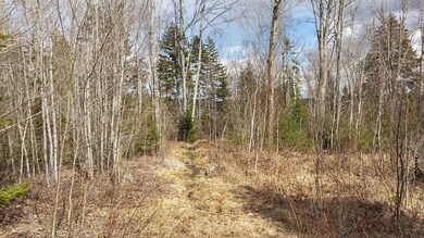 IMG_20200415_153311991_HDR (1)