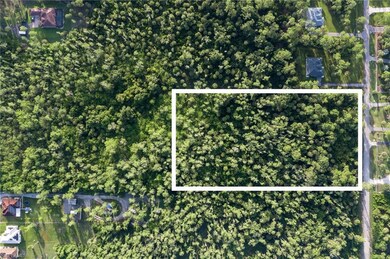 2543 12th Ave NE, Rural Estates, FL 34120 - photo 4