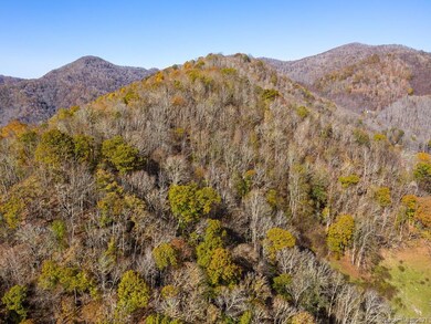 999 Lickskillet Rd, Cane River, NC 28714 - photo 6