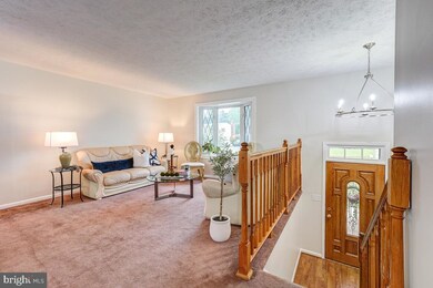 4 White Spruce Ct, Parkville, MD 21234 - photo 6