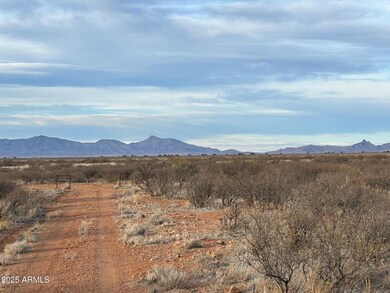 12300 S Los Gatos Trail, Pearce, AZ 85625 - photo 6