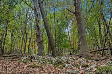 1570 Lone Tree Rd, Milford, MI 48380 - photo 7