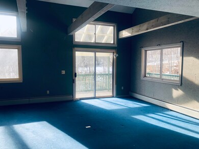 36 Okemo Trailside Rd unit 48B, Ludlow, VT 05149 - photo 6