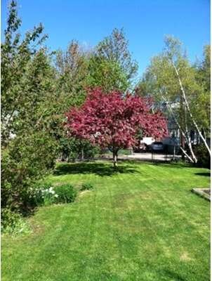 14 Herbert Rd, Quincy, MA 02171 - photo 3