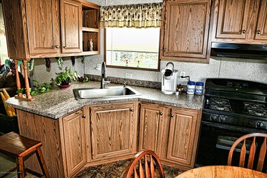 Kitchen sink 1