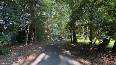 427 Springvale Rd, Great Falls, VA 22066 - photo 3