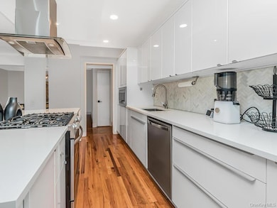 Kitchen featuring appliances with stainless steel finishes, white cabinetry, island exhaust hood, modern cabinets, and recessed lighting