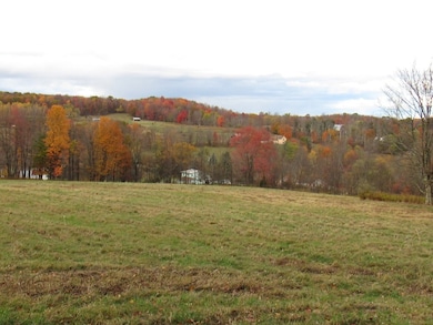 0 Pennsylvania 167 unit 333946, Brackney, PA 18812 - photo 2