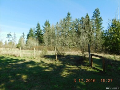 13020 Vail Rd SE, Yelm, WA 98597 - photo 6