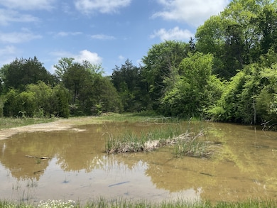 2624 Highway 64, Lewisburg, TN 37091 - photo 3