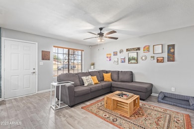 705 N Jackson St, Chandler, AZ 85225 - photo 4