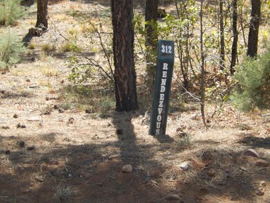 Lot 312