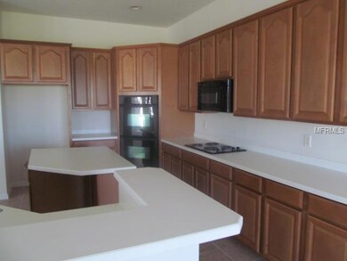 5007 Lake Toscana Dr, Wimauma, FL 33598 - photo 4