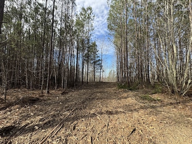 0 Old Mail Rd unit RTC2797249, Duck River, TN 38454 - photo 7