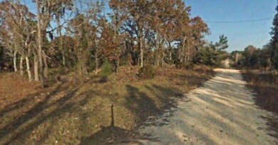0 NE 64th Place unit MFRTB8453106, Williston, FL 32696 - photo 2