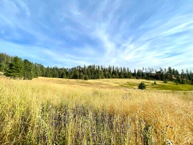 1617 S D 395 Hwy, Chewelah, WA 99109 - photo 3