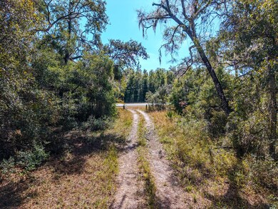 0 NE Highway 351, Old Town, FL 32680 - photo 6