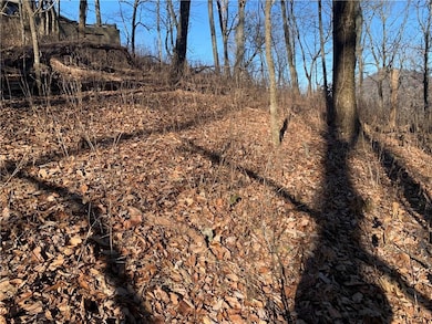 2933 Locust Trail, Jasper, GA 30143 - photo 3