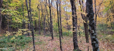 0 Thompson Tr unit 1209854, Winfield, TN 37892 - photo 7