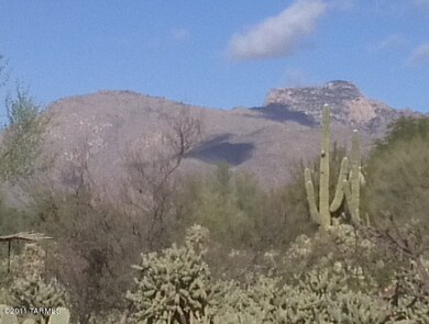 Sweeping Mountian View, Desert Setting