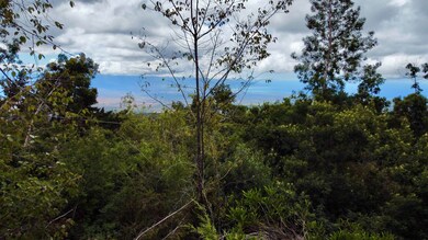 0 Haleakala Hwy unit Lot 32-B 403997, Kula, HI 96790 - photo 7