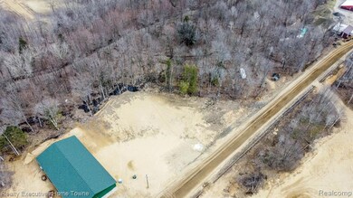 3606 Smokey Ridge S Vassar Rd, Vassar, MI 48768 - photo 6