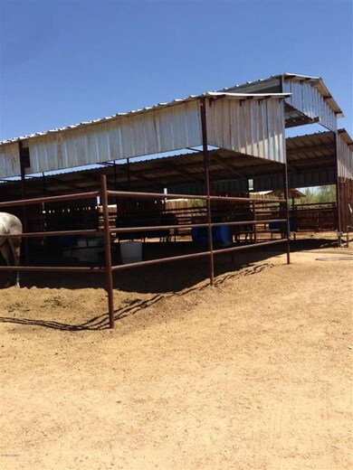 Horses