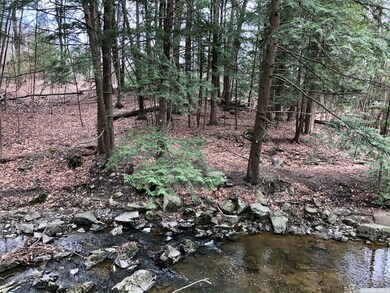 23 Woodpecker Ct, Coxsackie, NY 12051 - photo 4