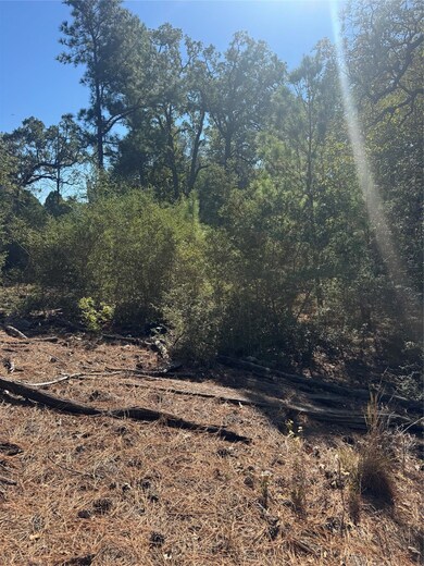 Lot 97 Kaelepulu Dr, Bastrop, TX 78602 - photo 5