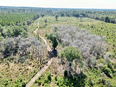 0 Cal Thomas Rd, Whigham, GA 39897 - photo 5