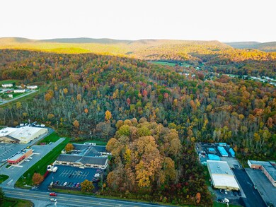 0 E Pleasant Valley Blvd unit LotWP001 19615403, Tyrone, PA 16686 - photo 6