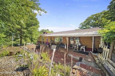 4880 Shell Ln, Knoxville, TN 37918 - photo 5