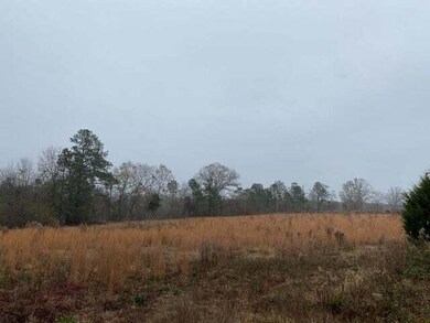 616 Temple Rd, Thomson, GA 30824 - photo 4