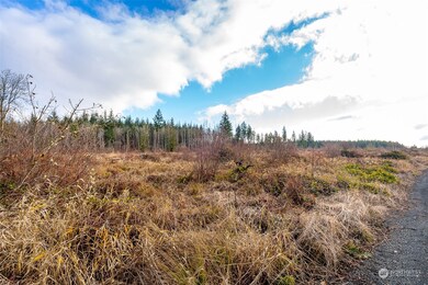 0 U S 12 unit Lot 2 NWM2273307, Napavine, WA 98532 - photo 3