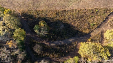 Oak Forest Rd, Bland, MO 65014 - photo 4