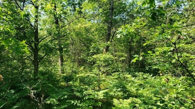 20190629_113012