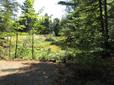 lot 8A N North Howland Rd, Maxfield, ME 04448 - photo 7