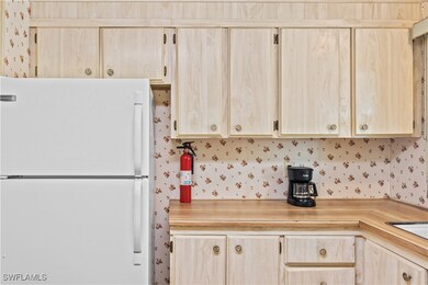 243 Poinsettia Dr, Fort Myers, FL 33905 - photo 5