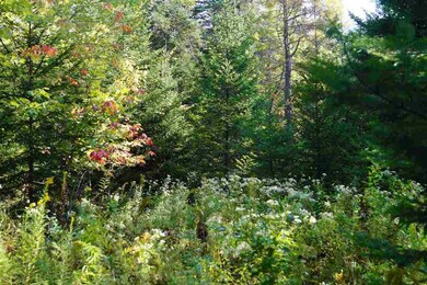 Terrain is level to gently sloping