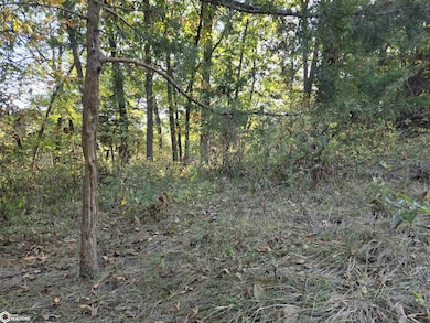 0 150th St unit NOC6334084, Floris, IA 52560 - photo 3