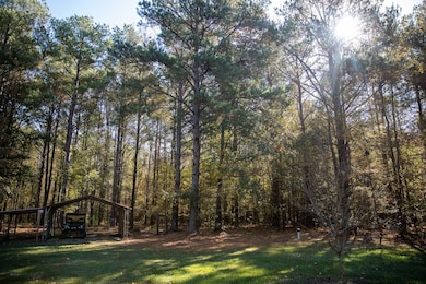 14285 Mississippi 503, Decatur, MS 39327 - photo 5