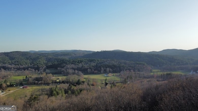 Drone View