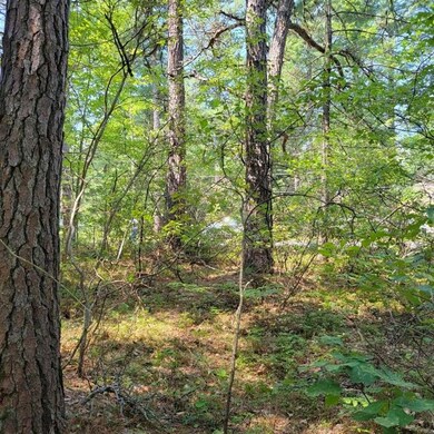 0 York Ln unit 25 4873957, Freedom, NH 03836 - photo 6