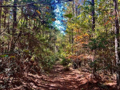 0 Old Salt Rd unit LotWP001, Sumrall, MS 39482 - photo 7