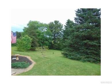Yard/Garden.